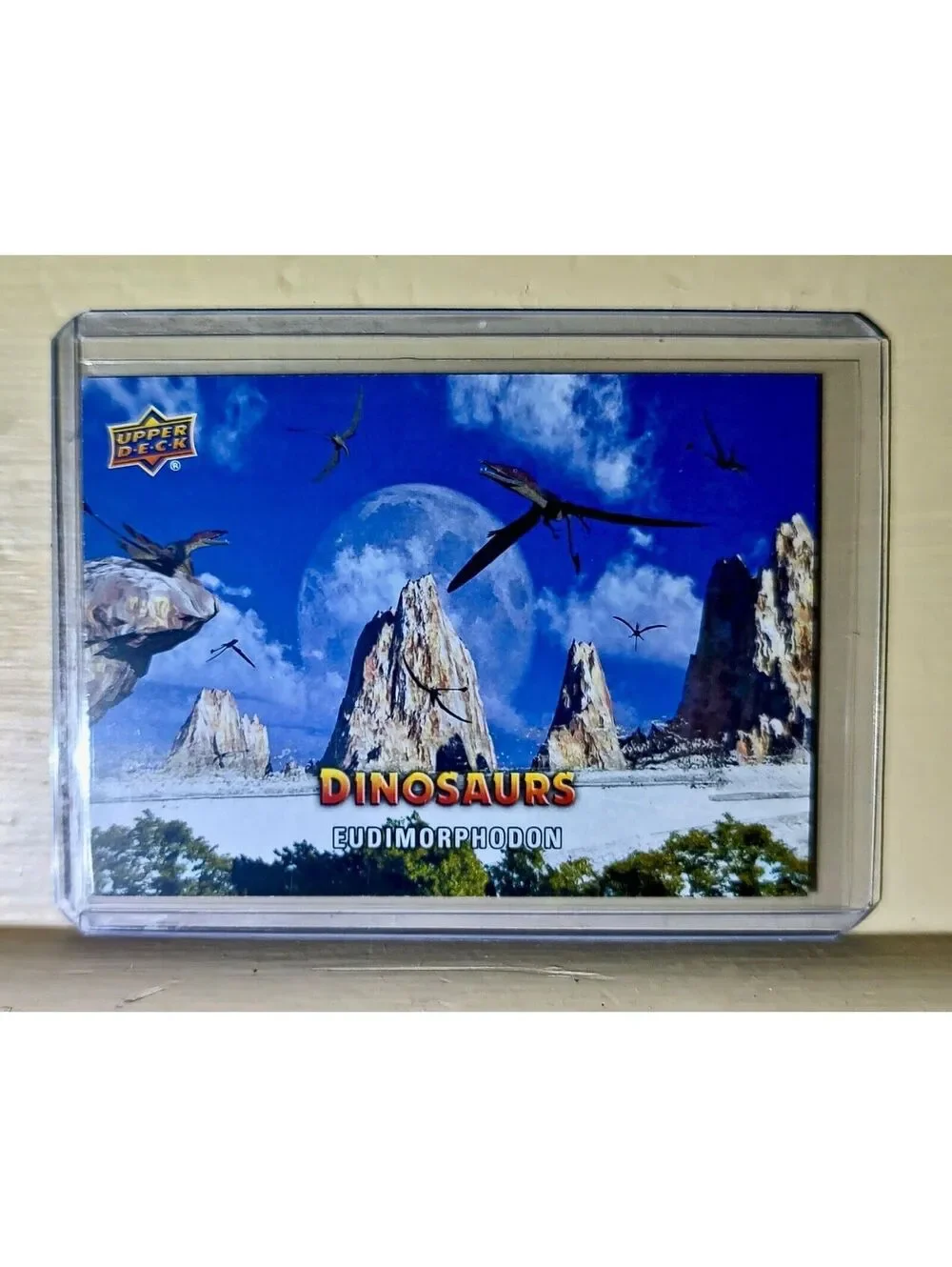 2015 Upper Deck Dinosaurs Eudimorphodon #62 Card